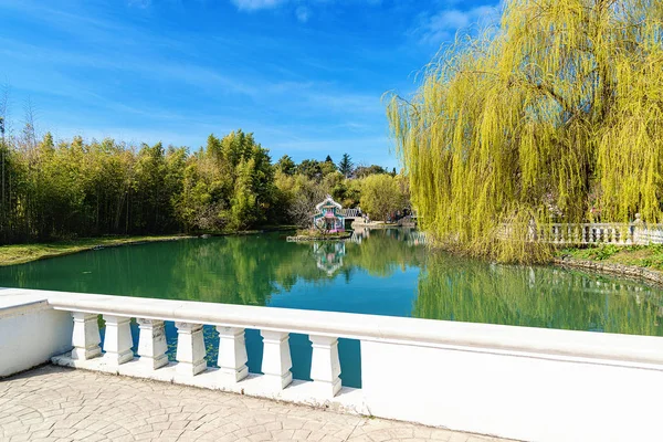 Rusia ciudad de Sochi Adler distrito parque culturas del sur. Estanque con reflejo de árboles. —  Fotos de Stock