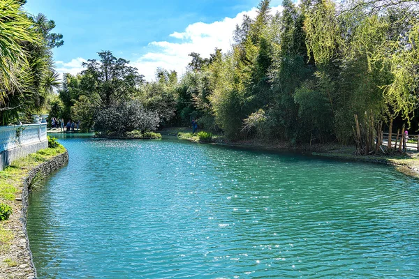 Rusland stad van Sochi Adler district Park van zuidelijke culturen. Vijver op een zonnige dag. — Stockfoto