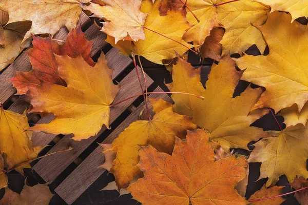 Фон цветных осенних листьев клена . — стоковое фото