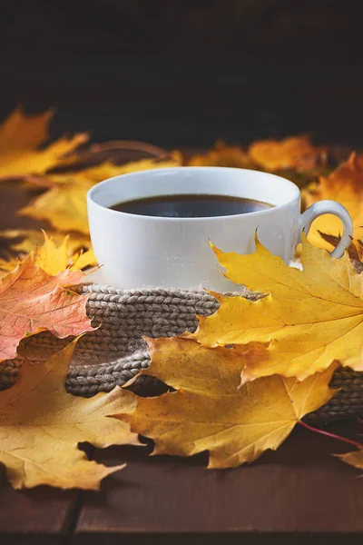 Осень, осенние листья, горячая чашка кофе и теплый шарф на фоне деревянного стола — стоковое фото