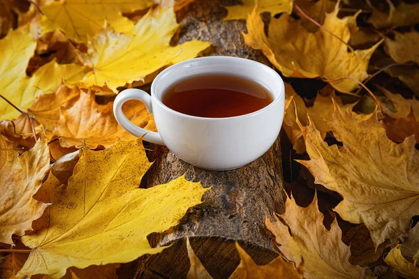 Tazza di tè, foglie autunnali, bella composizione autunnale con tazza da tè. foresta autunnale, ora del tè. Concetto di stagione autunnale . — Foto Stock