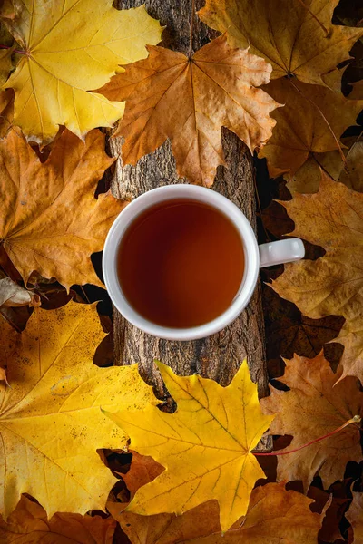 Tasse Tee, Herbstblätter, schöne Herbstkomposition mit Teetasse. Herbstwald, Teezeit. Konzept der Herbstsaison. — Stockfoto