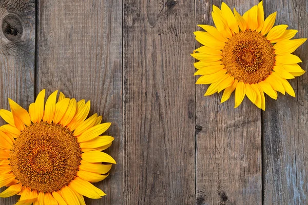Sunflower Wooden Background — Stock Photo, Image