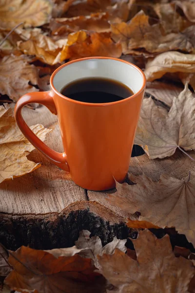 Осенний Натюрморт Чашкой Кофе Опавшими Листьями — стоковое фото