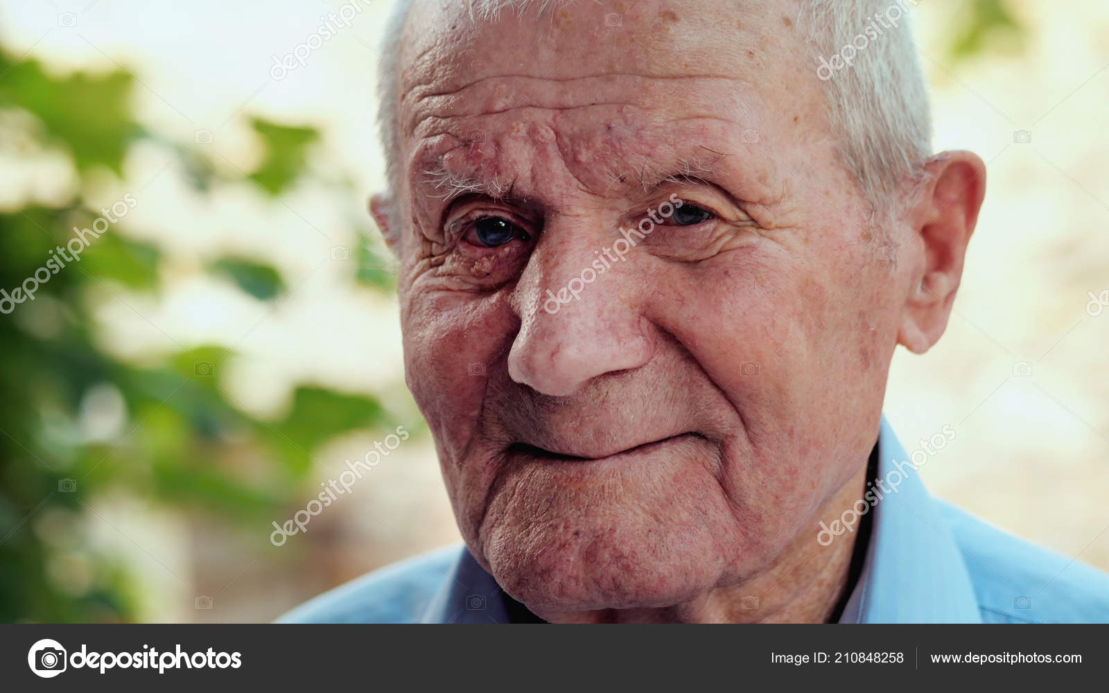 elderly man portrait