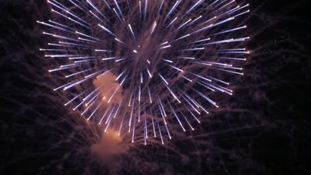 Fogos de artifício na noite de celebração de Ano Novo de férias — Vídeo de Stock