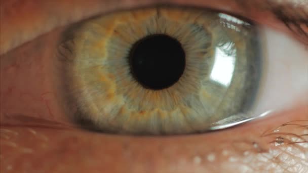 extreme Nahaufnahme der Iris des menschlichen Auges in 4k uhd Video. Die Iris des menschlichen Auges schrumpft. Extreme Nahaufnahme. 4k uhd 2160p Filmmaterial.