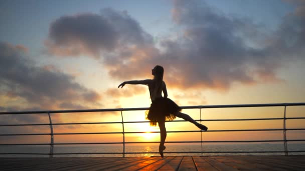 Танцующая балерина в балетной пачке и точка на набережной над океаном или морским пляжем на восходе солнца. Силуэт молодой красивой блондинки с длинными волосами практикующей растяжку и упражнения. . — стоковое видео