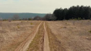 Uçuş orman ve dağ geçidi köyde tepeden aşağı giden yolu üzerinde. Sarı çim ve küçük köknar ağaçlarının soluk. Drone havadan görünümü,