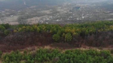 Orman yeşil ağaçlar ile drone havadan görünümden. Kuzey Avrupa ahşap vurdu. Küçük yerleşim köyde dağ geçidi. Sinematik tonned