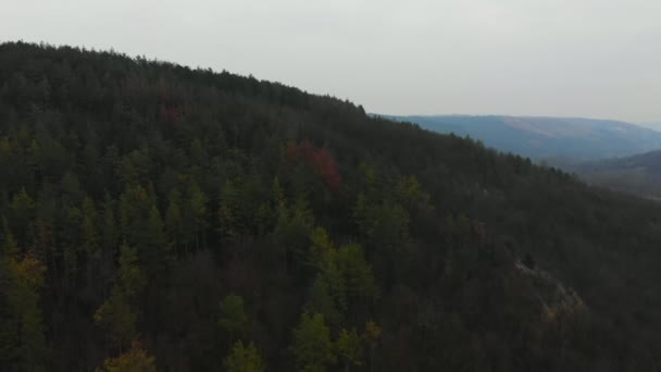 Veduta aerea da drone di foresta con alberi verdi. Girato sopra il bosco nord europeo. Tonnellata cinematografica — Video Stock