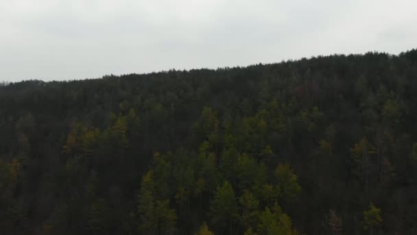 Vista aérea desde dron de bosque con árboles verdes. Disparo sobre la madera del norte de Europa. Toneladas cinematográficas — Vídeos de Stock