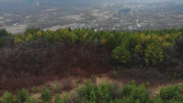 Вид з повітря на дрон лісу з зеленими деревами. Розстріляний над північноєвропейським лісом. Невелике поселення в ущелині. Кінематографічні тони — стокове відео