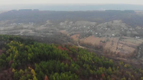 Αεροφωτογραφία από το drone του δάσους με πράσινα δέντρα. Πυροβόλησε πάνω από το βόρειο Ευρωπαϊκό ξύλο. Οικισμός μικρό χωριό στη χαράδρα. Κινηματογραφική tonned — Αρχείο Βίντεο