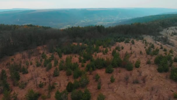 Veduta aerea da drone di foresta con alberi verdi. Girato sopra il bosco nord europeo. Piccolo villaggio nel burrone. Tonnellata cinematografica — Video Stock