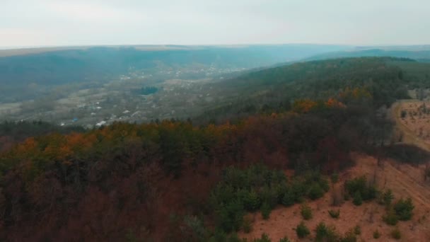 Vista aérea desde dron de bosque con árboles verdes. Disparo sobre la madera del norte de Europa. Pequeño pueblo asentamiento en el barranco. Toneladas cinematográficas — Vídeo de stock