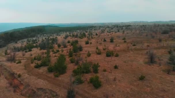 Aerial View from drone of forest with green trees. Shot over the north european wood. Small settlement village in the ravine. Cinematic tonned — Stock Video
