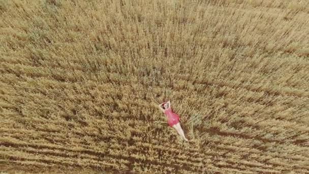 Giovane bella donna in abito retrò rosso e occhiali da sole che giace nel campo giallo grano. Volare vicino sopra il campo di grano. Veduta aerea del drone. Raccolta, concetto di agricoltura — Video Stock