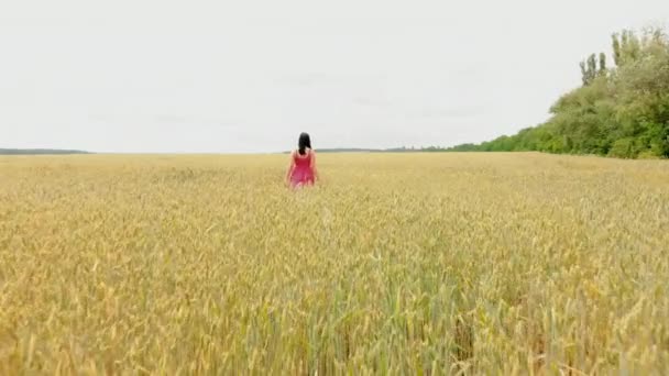 Belle fille en robe rétro rouge courant dans le champ d'or. Concept de liberté. Une femme heureuse dehors. Récolte, concept d'agriculture. Vol aérien au-dessus du champ de blé .