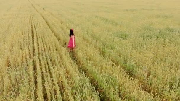 穿着红色复古连衣裙的漂亮女孩在金色的田野里奔跑。自由概念。快乐的女人在户外。收获, 农业概念。空中飞行在麦田. — 图库视频影像