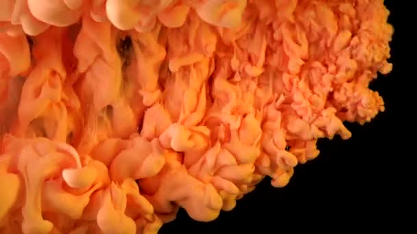 Peach colour Ink underwater. Orange paint or smoke. Can be used as transitions, added to modern projects, art backgrounds, anything with creative twist. Slow motion — Stock Video