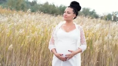 Göbek ayakta kabarık Pampa otu arasında dokunmadan hamile kadın portresi. Sonbahar alandaki uzun dantel elbise kız. Kadınlık, gebelik, aşk, Aile, annelik kavramı
