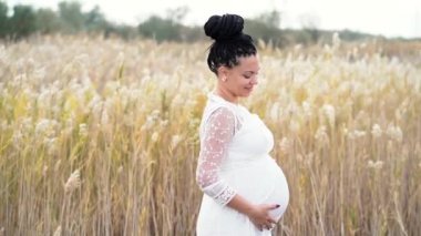 Boho stil hamile kadın büyük karnı okşayarak. Anne sazlık arka plan alanını beyaz elbiseli. Doğa, sonbahar veya yaz sezonu. Gebelik, aşk, annelik kavramı