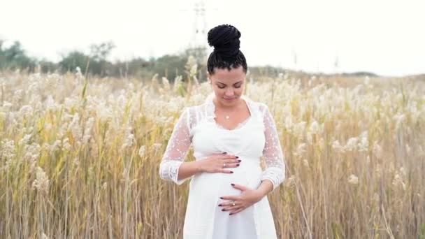 Jonge mooie zwangere vrouw die zich voordeed op de achtergrond van de natuur. Aanstaande moeder te wachten voor een baby. Ze houdt en lijnen van haar buik met liefde. Meisje hebben ongebruikelijke kapsel - vlechten — Stockvideo