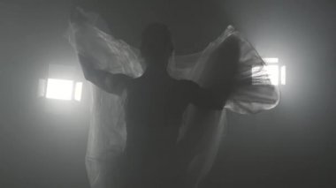 Profesyonel Balerin Bale spot içinde büyük sahnede. Beyaz tutu elbise giyen güzel beyaz genç kız. Siyah beyaz vintage retro etkisi tonned. Ağır çekim