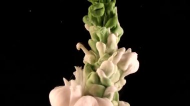 Yüksek hızlı kamera ile çekim su beyaz ve yeşil mürekkep. Kanlı boya düştü, tepki, soyut bulut oluşumları ve metamorfoz siyah oluşturma. Sanat arka planlar. Ağır çekim.