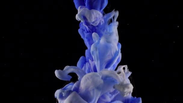 Blauwe en witte inkt in water fotograferen met hoge snelheidscamera. Verf gedaald, reageren, maken van abstracte wolk formaties metamorfose op zwart. Kunst achtergronden. — Stockvideo