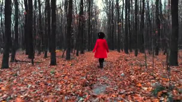 Młoda kobieta spaceru sam na szlaku w lesie jesienią. Widok z tyłu. Podróży, wolność, koncepcja natura — Wideo stockowe