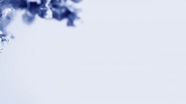 Su karıştırma beyaz boya ile mavi. İpeksi metalik renk mürekkep su altında dönen bulut. Soyut duman patlama geçişleri, projelere, sanat arka planları eklendi olarak kullanılabilir.