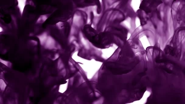 Mooie achtergrond. Paarse kleurstof in water. Gekleurde donker violet inkt gedaald in water. Mooie heldere metamorfose. Inktvis inkt splatter. Met het effect volume. Slow motion — Stockvideo