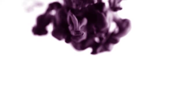 Кольорове фіолетове чорнило впало у воду. Прекрасний яскравий метаморфоз. Чорнило з карамелізованим покриттям. Ефект гучності. Прекрасний фон. Фіолетовий барвник у воді. Повільний рух — стокове відео