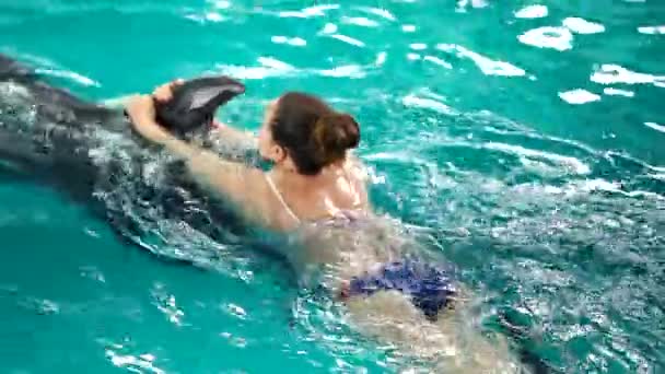 Unrecognizable young woman swimming with dolphin, training in blue crystal pool water. Slow motion. Nature, animal, wild life, therapy concept — Stock Video