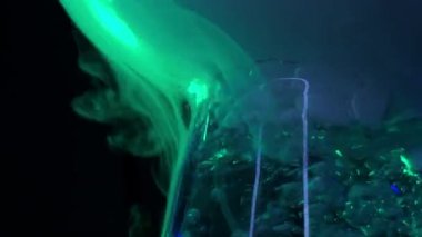 Kimyasal çözüm ile güzel renkli neon ışık bir cam şişesi kaynar. Edutainment. Gösteri ve deneyler kavramı kimya testleri.
