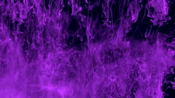 Purple ink in water. Violet with glitter paint reacting in water creating abstract cloud formations.Can be used as transitions,added to modern projects,art backgrounds, anything with creative twist. — Stock Video