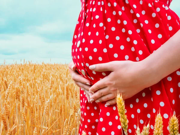 Αγνώριστος εγκύου με φόρεμα κόκκινο πουά στέκεται στο πεδίο σιτάρι και κρατώντας την κοιλιά — Φωτογραφία Αρχείου