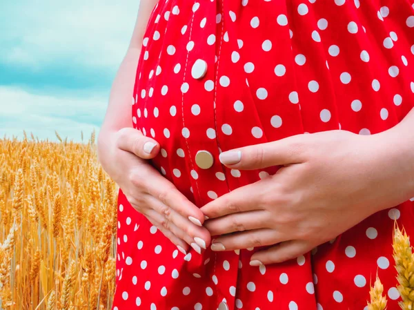 Αγνώριστος εγκύου με φόρεμα κόκκινο πουά στέκεται στο πεδίο σιτάρι και κρατώντας την κοιλιά — Φωτογραφία Αρχείου