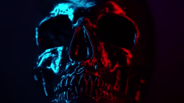 La testa del cranio umano ruota da sinistra a destra su sfondo nero con luce blu e rossa. Festeggiamenti di Halloween, glamour, concept di stile. paura e orrore — Video Stock