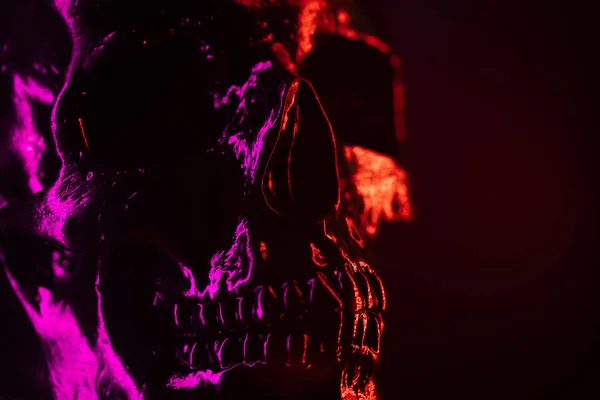 Cabeça de crânio humana antiga de perto. Luz rosa e vermelha de néon. Assustador e sinistro. Glamour, disco, conceito de Halloween — Fotografia de Stock