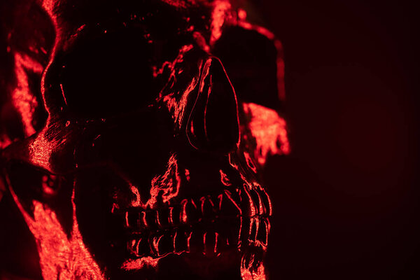 Ancient human skull head close-up. Neon red light. Spooky and sinister. Glamour, disco, halloween concept.