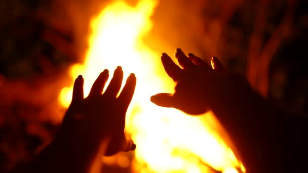 女性の手は火に引き寄せられる。女の子はピクニック中に森の中のたき火によって加熱されます — ストック動画