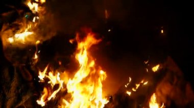 Yangından sonra sonuçları. Alev yanar, yoluna çıkan her şeyi emer. Felaket, sorunlar, orman yangını kavramı. Yavaş çekim