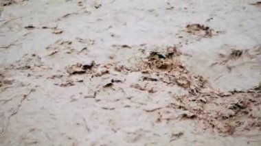 Yağmur veya kasırgadan sonra sel. Kirli kahverengi güçlü su nehre fışkıran. Görüntüleri kapat