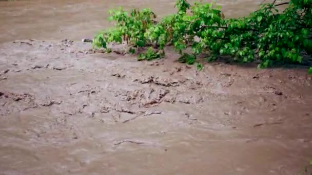 Översvämning efter regn eller orkan. Dirty Brown starkt vatten flyter forsande i floden. Närbild film — Stockvideo