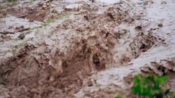 Inundación después de la lluvia o huracán. Agua fuerte marrón sucia que fluye hacia el río. Primer plano de las imágenes — Vídeo de stock