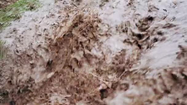 Inondation après pluie ou ouragan. Eau brune sale et forte qui jaillit dans la rivière. Fermer les images — Video