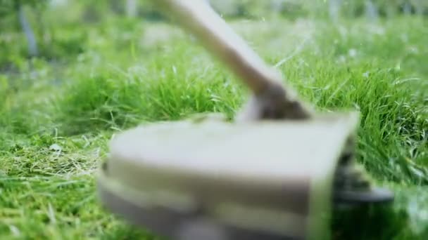 Elektrisk trimmer blad roterande skär gräs. Trädgårdsarbete. Klippa ogräs från trädgården med modernt verktyg. — Stockvideo